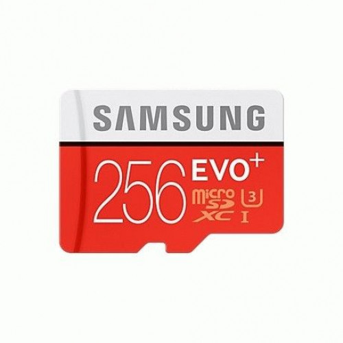 Купить Карта памяти Samsung microSDXC 256GB EVO Plus Class 10 UHS-I U3 (MB-MC256DA/APC)