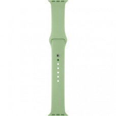 Спортивный ремешок для Apple Watch 42mm Mint Gun