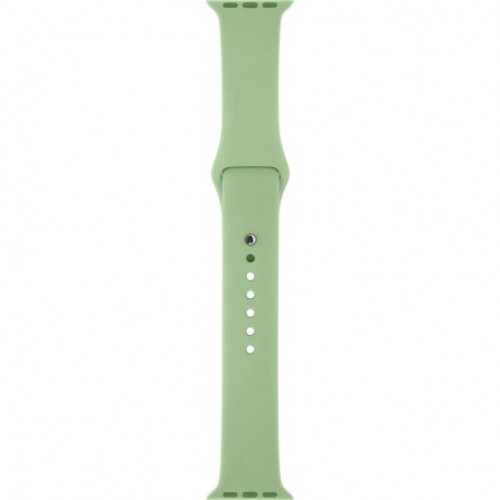 Купить Спортивный ремешок для Apple Watch 42mm Mint Gun