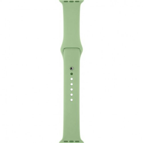 Купить Спортивный ремешок для Apple Watch 38mm Mint Gum