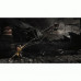 Купить Игра Mortal Kombat X для Sony PS 4 (русские субтитры)