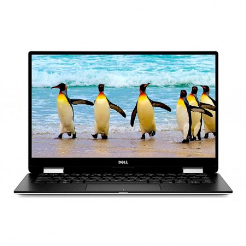 Купить Ноутбук Dell XPS 13 9365 (X358S1NIW-64) Silver