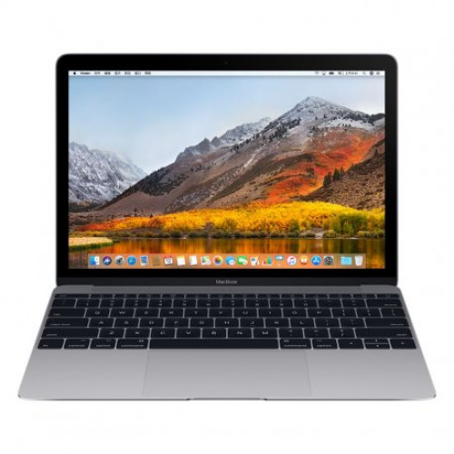 Купить Apple MacBook 12" Space Gray (MNYF2) 2017
