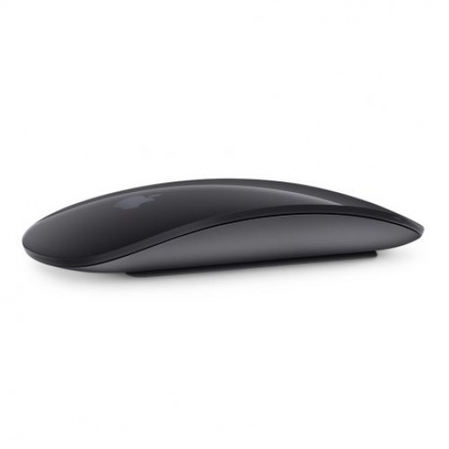 Купить Apple Magic Mouse 2 (MRME2) Space Gray