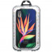 Купить Чeхол WK для Apple iPhone XS (WPC-107) Jungle (CL15936)