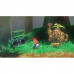 Купить Игра Super Mario Odyssey (цифровой код)  для Nintendo Switch (русская версия)